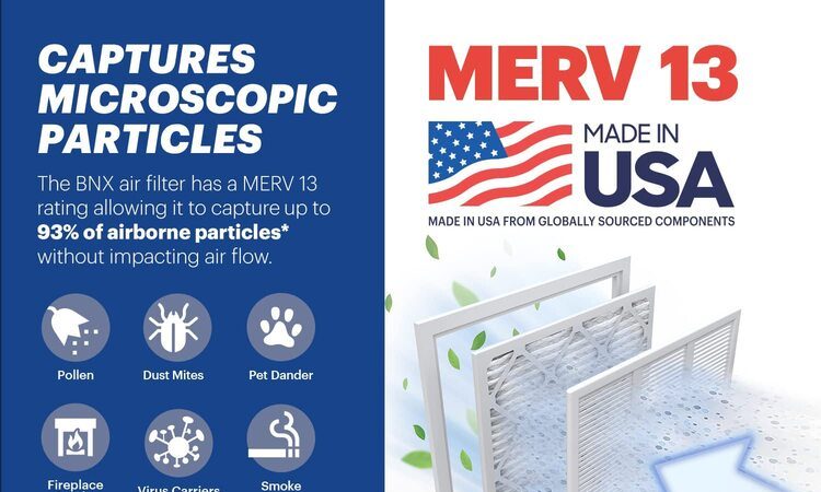 www.amazon.com/BNX-16x25x1-MERV-Filter-Pack/dp/B09XFKZB2C